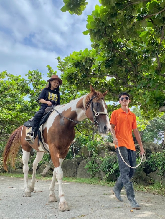 悠客趣味體驗3合一 場內騎乘乙圈+餵馬體驗+馬背定點網美照