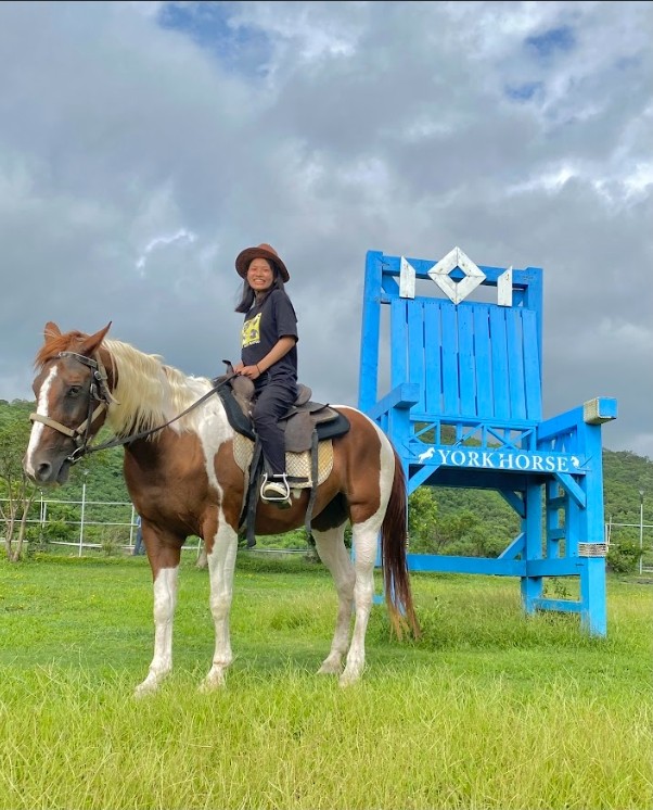 悠客趣味體驗3合一 場內騎乘乙圈+餵馬體驗+馬背定點網美照