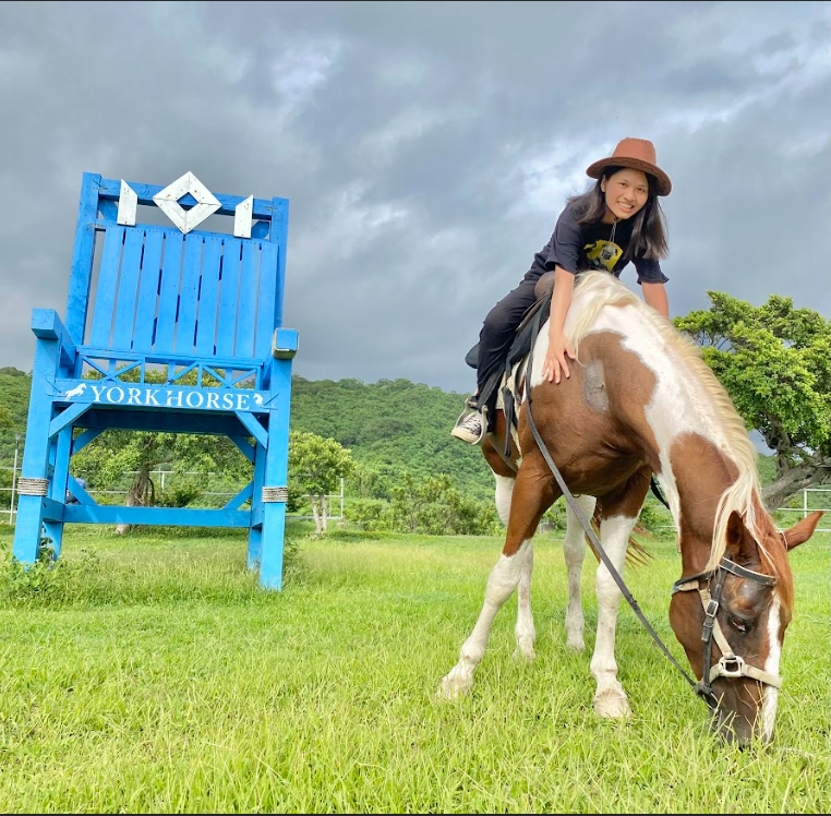 悠客趣味體驗3合一 場內騎乘乙圈+餵馬體驗+馬背定點網美照